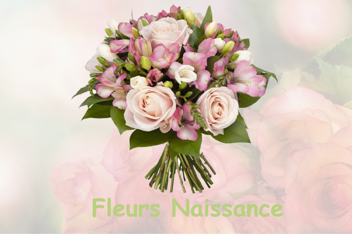 fleurs naissance FLAVY-LE-MELDEUX
